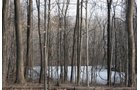 Tract 4 Swing Tract - REAL ESTATE AUCTION - 84.5+/- ACRES IN 4 TRACTS IN WHITLEY COUNTY, INDIANA
